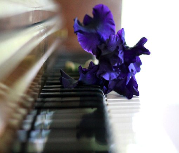 Piano fleur